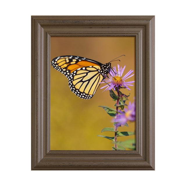 Furniture Pipeline LLC Declaration Handmade 1.75" Solid Wood Frame 8.5