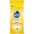 Furniture Polish Wipes, Works on Wood, Granite, and Leather, Cleans and