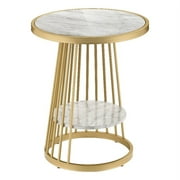 Furniture of America Amador Metal 1-Shelf Side Table in Gold and White