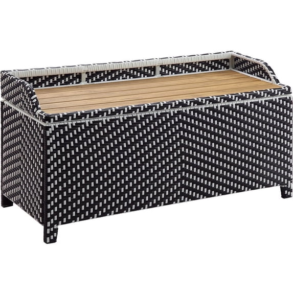Furniture of America Azur Black Poolside Outdoor Wicker Metal Storage Bench