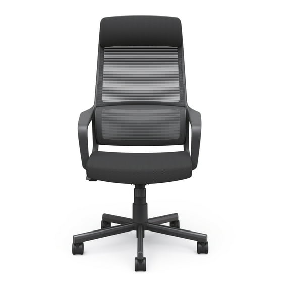 Furniture of America Celciana Executive Chair with Lumbar Support & Swivel, 275 lb. Capacity, Black