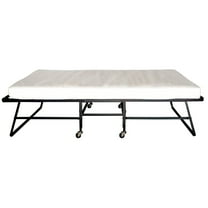 Furniture of America Gouda Black Metal 30-Inch Rollaway Bed Frame with Mattress