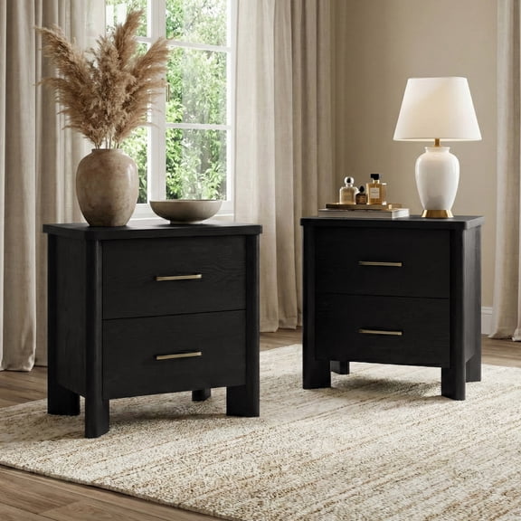 Furniture of America Gracie Modern Wood 2-Drawer Nightstands with USB Ports, Set of 2, Black