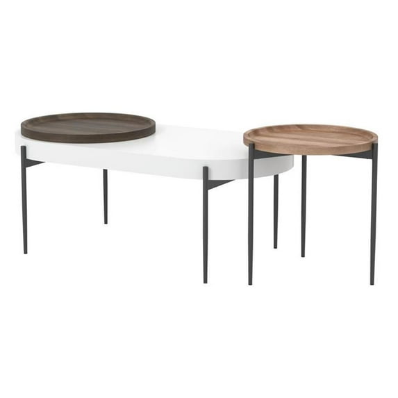 Furniture of America Hylen Metal 2-Piece Coffee Table Set in Natural Tone