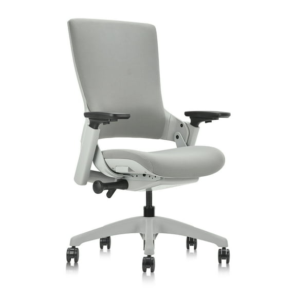 Furniture of America Inek Ergonomic Office Chair, Gray and White