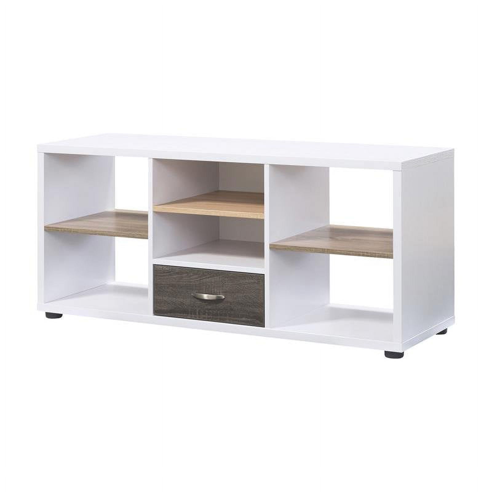 Furniture of America James Modern Wood 47-inch TV Stand in White