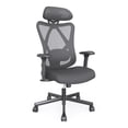 thumbnail image 1 of Furniture of America Kleckner Ergonomic Swivel Office Chair, Black, 1 of 10