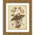 thumbnail image 1 of Furrer, H. 12x14 Gold Ornate Wood Framed with Double Matting Museum Art Print Titled - Antique Mushrooms II, 1 of 4