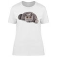 thumbnail image 1 of Furry British Cat Lying  T-Shirt Women -Image by Shutterstock Women T-Shirt, Female Medium, 1 of 2
