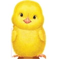 thumbnail image 1 of Pre-Owned Furry Chick (Unknown) 1438050127 9781438050126, 1 of 1