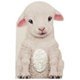 thumbnail image 1 of Furry Friends Furry Lamb, (Board Book), 1 of 1