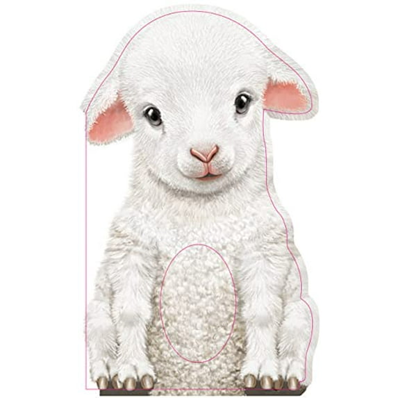 Pre-Owned Furry Lamb (Board book) 1438050135 9781438050133