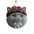 thumbnail image 1 of Furry Winter Cat Ornament with Knit Hat – 3.14" 2D Acrylic Holiday Decor, Charming Woodland Animal Hanging Ornament for Home Xmas Tree & Winter Decor C, 1 of 6