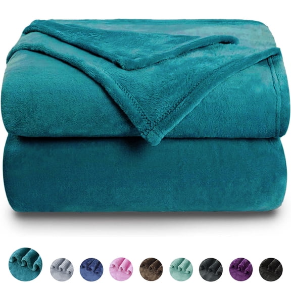 Sortora Azure Throw Size Blankets, Fuzzy Lightweight Warm Throw Blanket for Couch, Sofa, Pet, Bed, 50 x 60 inch