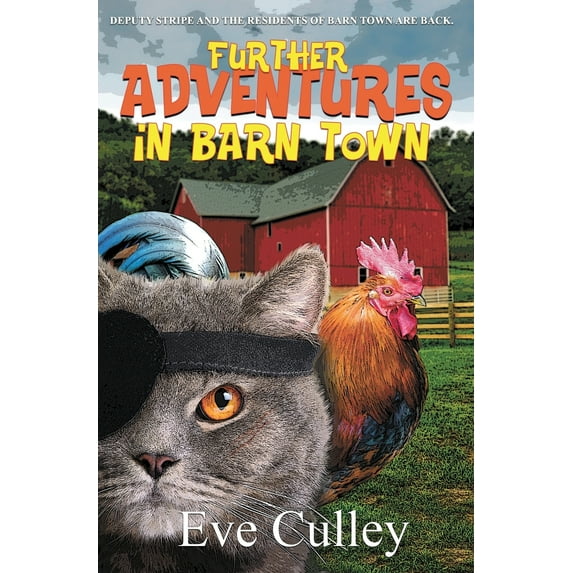 Further Adventures in Barn Town (Paperback)