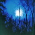 thumbnail image 1 of Further, 1 of 2