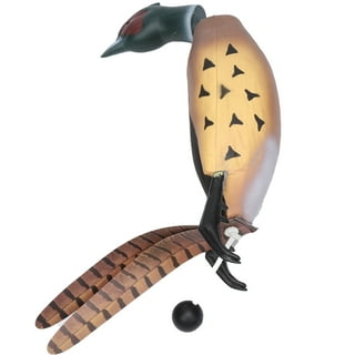 Rubber pheasant dog toy sales