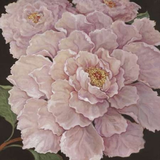 Fuschia Peonies Canvas Art - Janet Kruskamp (24 x 24)