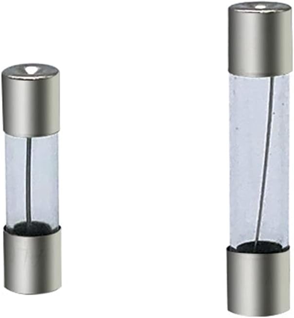 100 Fusibili 2A 6x30mm Ritardati (T) Per Amplificatori Chitarra E Bassi, Valvole Audio