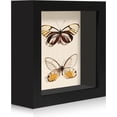 thumbnail image 1 of Fusion 5x5 Small Shadow Box Picture Frame Display Case with Soft Linen Back, Black Wooden Memory Shadow Box Frame with Tempered Glass Cover for Wall or Tabletop Display, 1 of 6