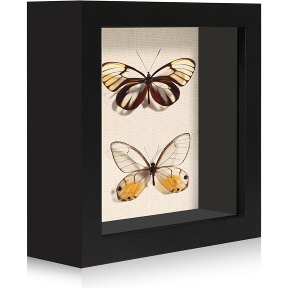 Fusion 5x5 Small Shadow Box Picture Frame Display Case with Soft Linen Back, Black Wooden Memory Shadow Box Frame with Tempered Glass Cover for Wall or Tabletop Display