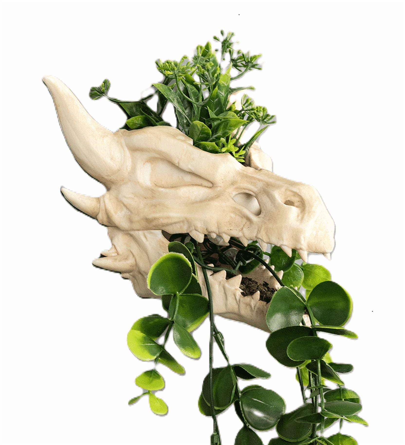 Dragon Planter