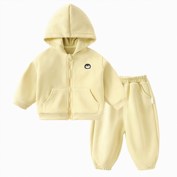 Futezty Toddler Boys Girls Clothes Fall Winter Outfit Sets, Baby Boy Girl Long Sleeve Crew Neck Hooded Pocket 12 18 24 Months 2T 3T 4T 2PCS Everyday