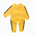 thumbnail image 1 of Futezty Toddler Boys Girls Clothes Fall Winter Outfit Sets, Baby Boy Girl Long Sleeve Crew Neck Zip-up Elastic Waist 6M 9M 12M 2T 3T 4T 2 Pcs Everyday, 1 of 4