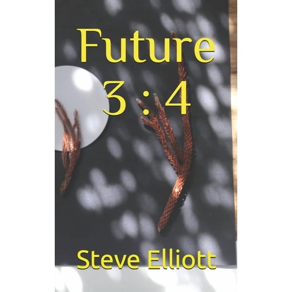 Two Book / Future Future 3: 4, Book 2, (Paperback)