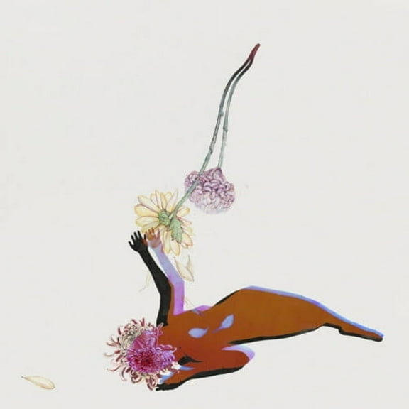 Future Islands - The Far Field - Rock - Vinyl