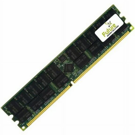 Future Memory 256MB EDO DRAM Memory Module