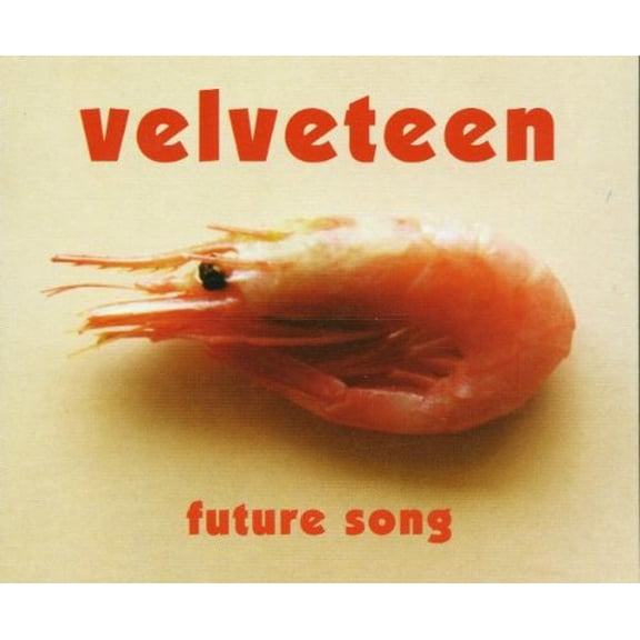 Future Song (Audiobook)