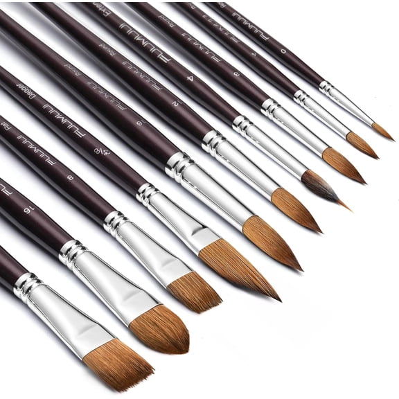 Fuumuui Sable Watercolor Brushes, Professional 10Pcs Sable Paint Brush Set Variety Shapes with Flats, Extended Needle Point, Dagger, Cat's Tongue, Rounds Perfect for Watercolor Acrylic Gouache Inks