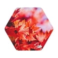thumbnail image 1 of Fuzoiu Autumn Maple Leaves Print Leather Coasters Set,Drink Coasters Set of 6,for Tabletop Protection, Durable PVC Coasters,Home Décor and Housewarming Gift,Hexagon, 1 of 1
