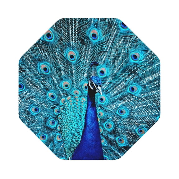 Fuzoiu Beautiful Blue Peacock Print Leather Coasters Set,Drink Coasters Set of 6,for Tabletop Protection, Durable PVC Coasters,Home Dcor and Housewarming Gift,Octagon