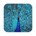thumbnail image 1 of Fuzoiu Beautiful Blue Peacock Print Leather Coasters Set,Drink Coasters Set of 6,for Tabletop Protection, Durable PVC Coasters,Home Décor and Housewarming Gift,Square, 1 of 7