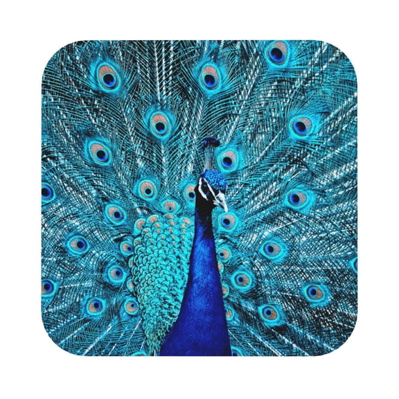 Fuzoiu Beautiful Blue Peacock Print Leather Coasters Set,Drink Coasters Set of 6,for Tabletop Protection, Durable PVC Coasters,Home Décor and Housewarming Gift,Square