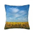 thumbnail image 1 of Fuzoiu Blooming Sunflower Field Print Square Pillow Cover,Hidden Zipper Design,Luxury Square Pillow Case, Throw Pillow,Couch Cushion-20"x20", 1 of 7