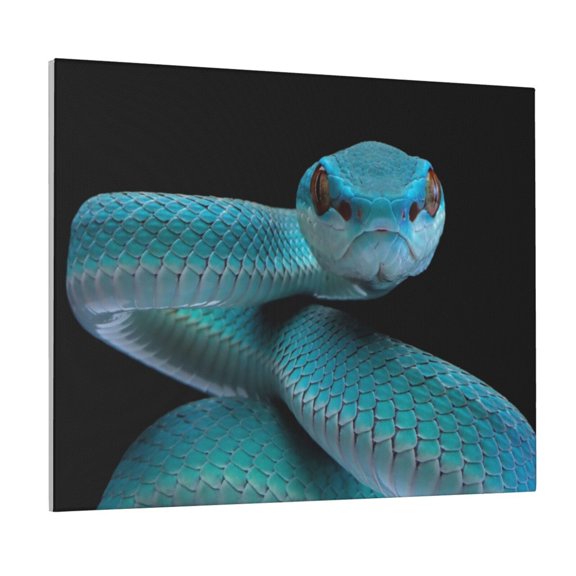 Fuzoiu Blue Viper Snake1 Print Canvas Wall Art for Bathrooms,Wall Decor for Bedroom,Framed Artwork for Wall,Modern Wall Decorations Prints Picture for Kitchen Home