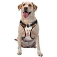 thumbnail image 1 of Fuzoiu Cartoon Guinea Pig Print Reflective Dog Harness,Adjustable, Breathable Pet Vest,Dog Harness No Pull,No Choke Pet Vest for Small, Medium, and Large Dogs-X-Large, 1 of 6