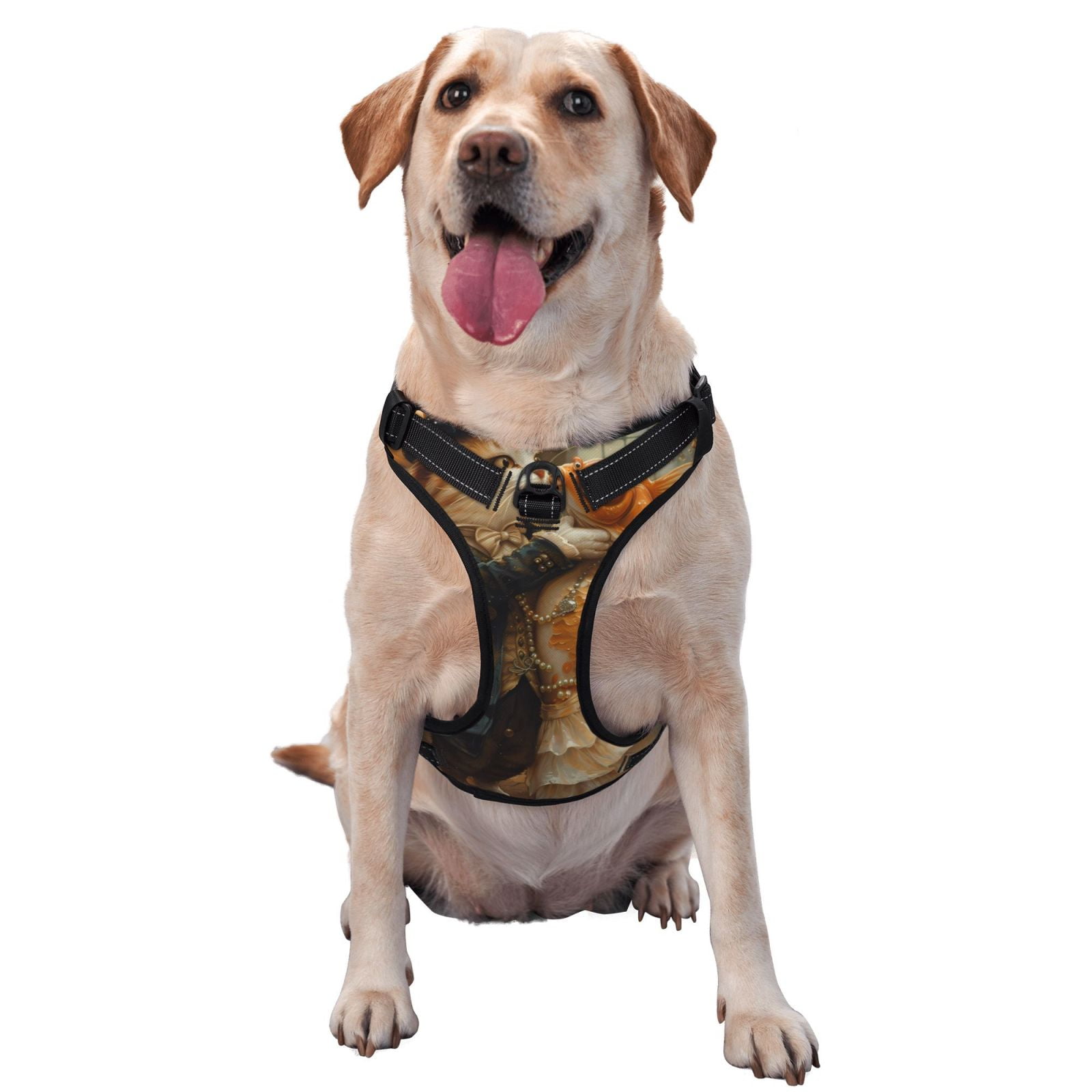 Fuzoiu Cat Fish Dance Vintage Print Reflective Dog Harness,Adjustable, Breathable Pet Vest,Dog Harness No Pull,No Choke Pet Vest for Small, Medium, and Large Dogs-X-Large