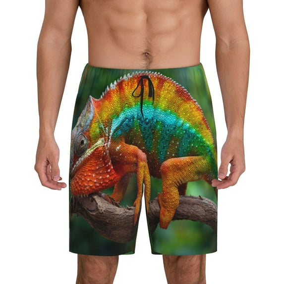 Fuzoiu Chameleon Print Pajama Shorts for Men, Men's Pajama Bottoms,Mens Lounge Sleepwear,Pajama Pants with Pocket-4X-Large