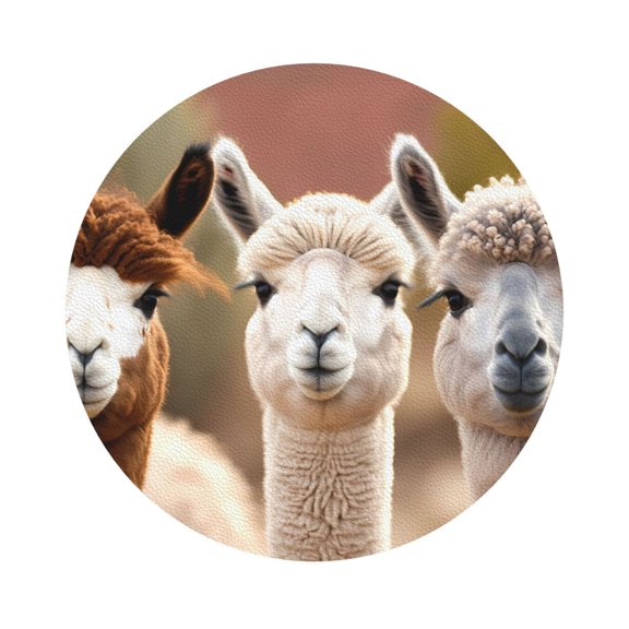 Fuzoiu Cute Alpaca in Daze Print Leather Coasters Set,Drink Coasters Set of 6,for Tabletop Protection, Durable PVC Coasters,Home Décor and Housewarming Gift,Round Shape