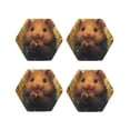 thumbnail image 1 of Fuzoiu Cute Sunflower Guinea Pig Print Leather Coasters Set,Drink Coasters Set of 4,for Tabletop Protection, Durable PVC Coasters,Home Décor and Housewarming Gift-Hexagon, 1 of 6
