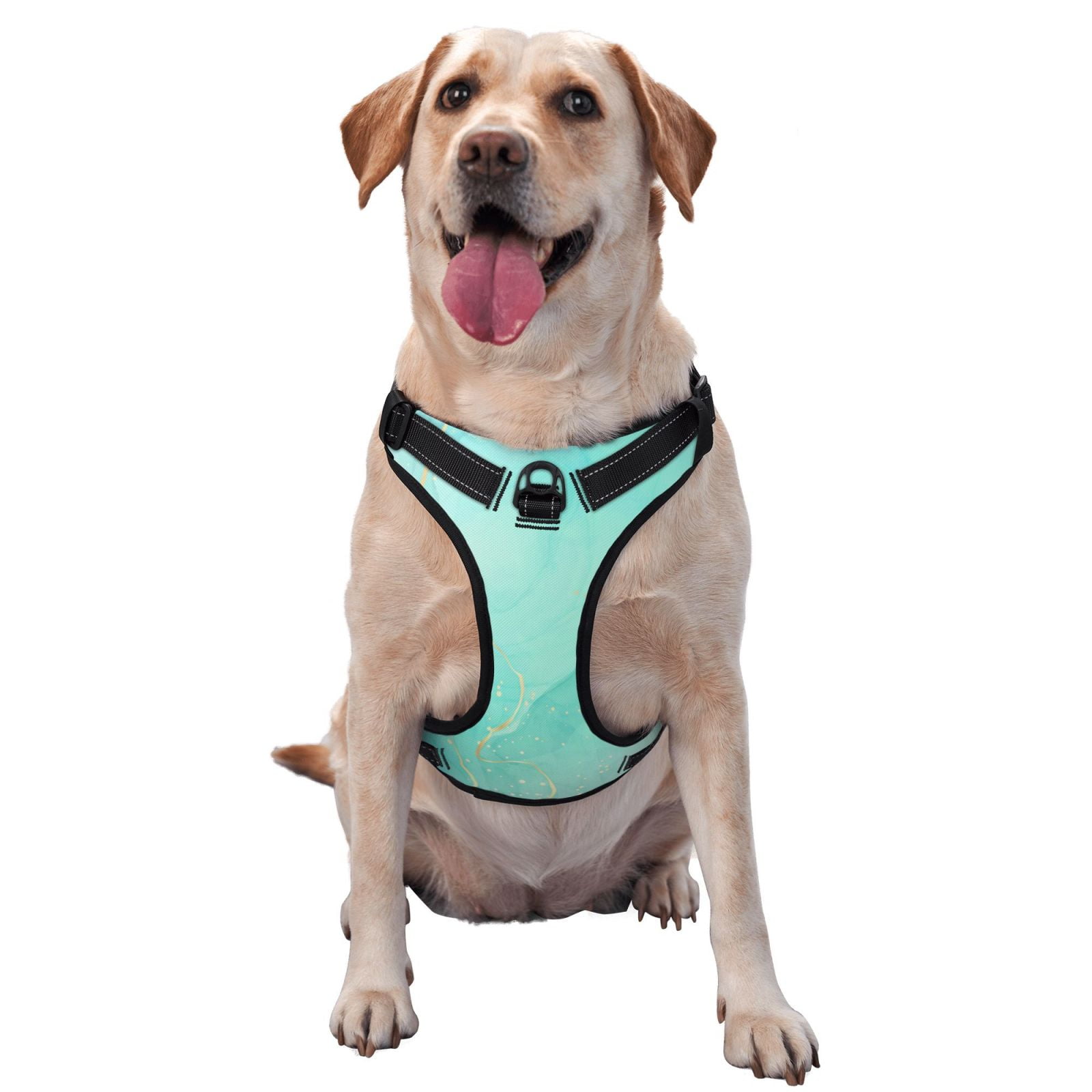 Fuzoiu Cyan Mint Marble Print Reflective Dog Harness,Adjustable, Breathable Pet Vest,Dog Harness No Pull,No Choke Pet Vest for Small, Medium, and Large Dogs-Small