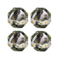 thumbnail image 1 of Fuzoiu Daisy Guinea Pig Print Leather Coasters Set,Drink Coasters Set of 4,for Tabletop Protection, Durable PVC Coasters,Home Décor and Housewarming Gift-Octagon, 1 of 6