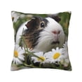 thumbnail image 1 of Fuzoiu Daisy Guinea Pig Print Square Pillow Cover,Hidden Zipper Design,Luxury Square Pillow Case, Throw Pillow,Couch Cushion-26"x26", 1 of 7