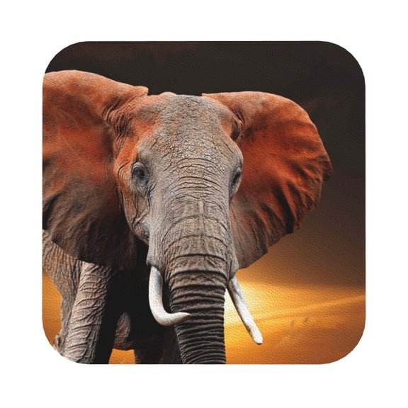 Fuzoiu Elephant Sunset in Kenya Print Leather Coasters Set,Drink Coasters Set of 6,for Tabletop Protection, Durable PVC Coasters,Home Décor and Housewarming Gift,Square