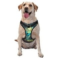thumbnail image 1 of Fuzoiu Enchanted Forest Butterfly A Print Reflective Dog Harness,Adjustable, Breathable Pet Vest,Dog Harness No Pull,No Choke Pet Vest for Small, Medium, and Large Dogs-Medium, 1 of 6