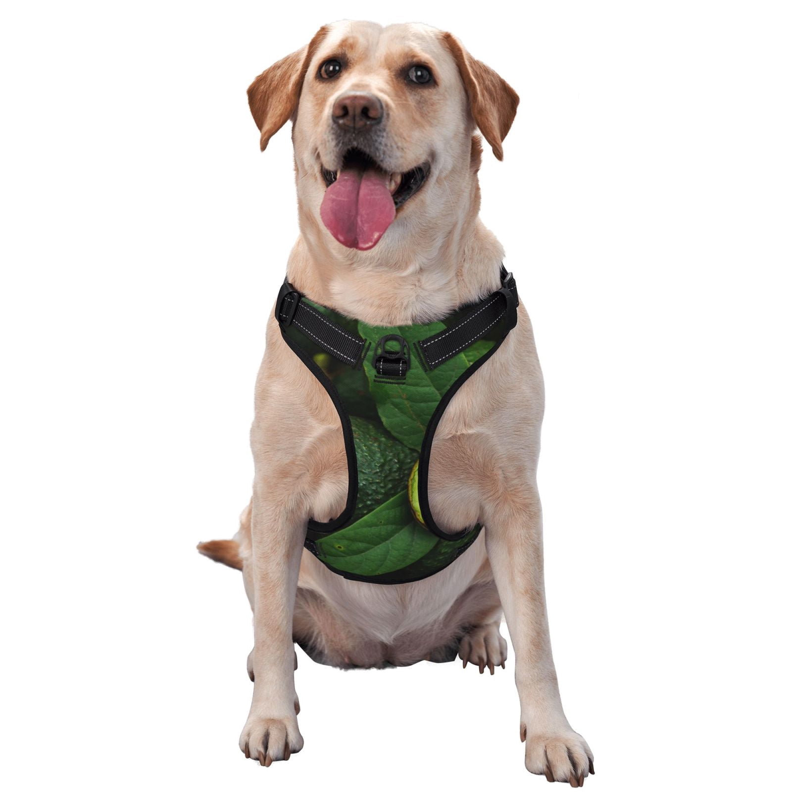 Fuzoiu Fresh Avocados Print Reflective Dog Harness,Adjustable, Breathable Pet Vest,Dog Harness No Pull,No Choke Pet Vest for Small, Medium, and Large Dogs-Medium